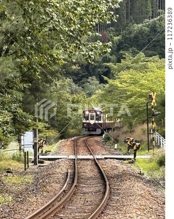 新緑の中を走るローカル線 新緑の中を走るローカル線 117236389