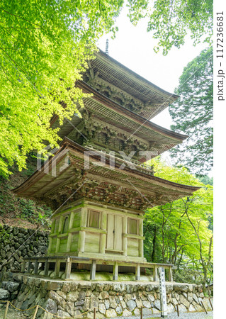 岐阜県揖斐川町　西美濃三十三霊場第一札所の新緑の横蔵寺の三重塔 117236681