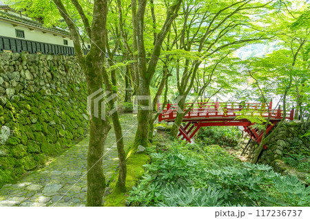 岐阜県揖斐川町 西美濃三十三霊場第一札所の新緑の横蔵寺の赤い橋 岐阜県揖斐川町 西美濃三十三霊場第一札所の新緑の横蔵寺の赤い橋 117236737