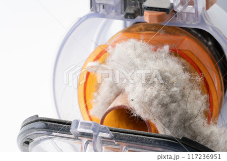 掃除機のダストボックス内に溜まったゴミ 掃除機のダストボックス内に溜まったゴミ 117236951