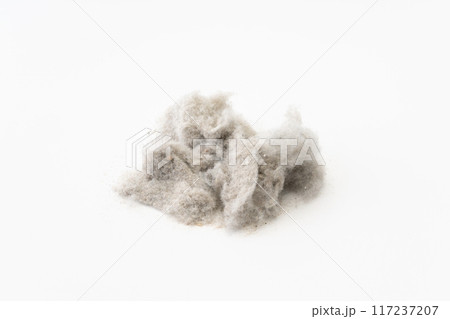 白背景に埃の塊 117237207