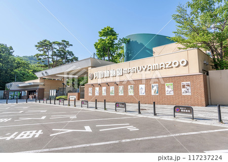 北海道札幌市　快晴の円山動物園 117237224