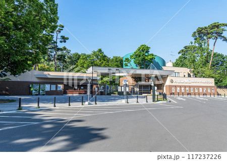 北海道札幌市 快晴の円山動物園 北海道札幌市 快晴の円山動物園 117237226