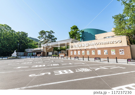 北海道札幌市　快晴の円山動物園 117237230