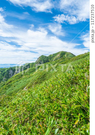 夏の雨飾山登山（荒菅沢～笹平：雨飾山山頂を望む） 117237510