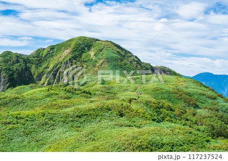 夏の雨飾山登山（笹平と雨飾山山頂） 117237524