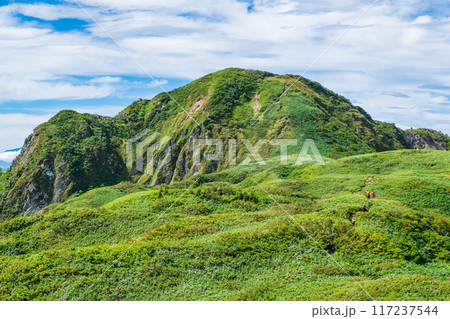 夏の雨飾山登山(笹平と雨飾山山頂) 夏の雨飾山登山(笹平と雨飾山山頂) 117237544