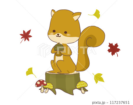 ドングリを持つリスのイラスト 117237651