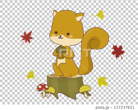 ドングリを持つリスのイラスト 117237651