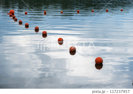 Orange buoys floating on calm water surface reflecting the sky. 117237957