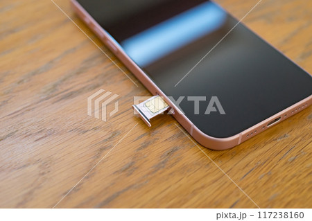 スマホのnanoSIMカード 117238160