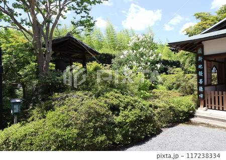 圓通寺 / 京都市左京区岩倉幡枝町 圓通寺 / 京都市左京区岩倉幡枝町 117238334