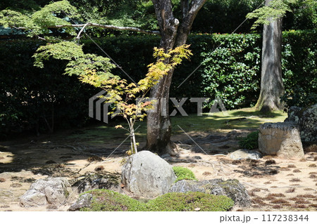 圓通寺【圓通寺庭園(国の名勝)】 / 京都市左京区岩倉幡枝町 圓通寺【圓通寺庭園(国の名勝)】 / 京都市左京区岩倉幡枝町 117238344