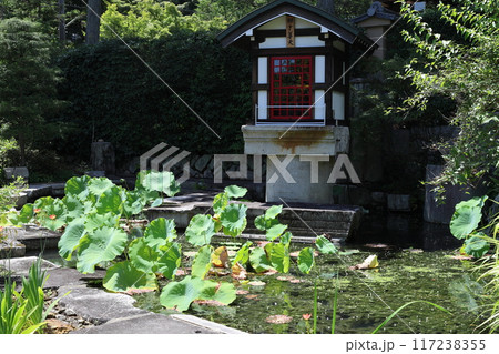 圓通寺 / 京都市左京区岩倉幡枝町 圓通寺 / 京都市左京区岩倉幡枝町 117238355