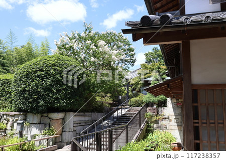 圓通寺 / 京都市左京区岩倉幡枝町 圓通寺 / 京都市左京区岩倉幡枝町 117238357