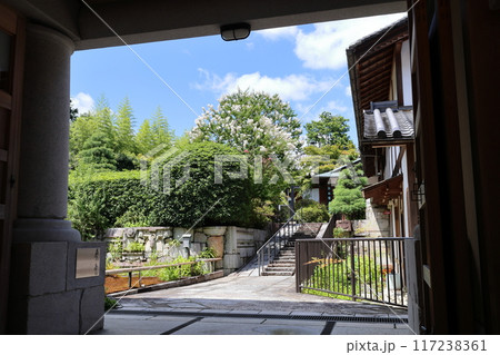 圓通寺 / 京都市左京区岩倉幡枝町 圓通寺 / 京都市左京区岩倉幡枝町 117238361
