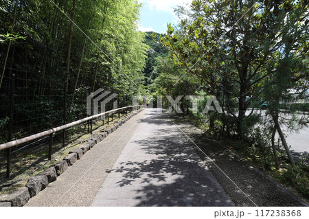 圓通寺 / 京都市左京区岩倉幡枝町 圓通寺 / 京都市左京区岩倉幡枝町 117238368