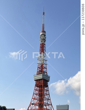 芝公園から見上げたタワー 芝公園から見上げたタワー 117238608