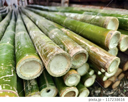 A collection of green bamboo rods piled one on top of another in a stack 117238616