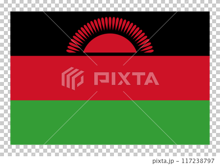 馬拉維的旗幟 117238797