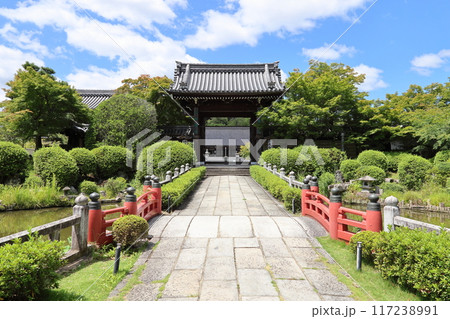 顕本法花華宗 総本山 妙満寺 / 京都市左京区岩倉幡枝町 顕本法花華宗 総本山 妙満寺 / 京都市左京区岩倉幡枝町 117238991