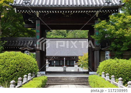 顕本法花華宗 総本山 妙満寺 / 京都市左京区岩倉幡枝町 顕本法花華宗 総本山 妙満寺 / 京都市左京区岩倉幡枝町 117238995