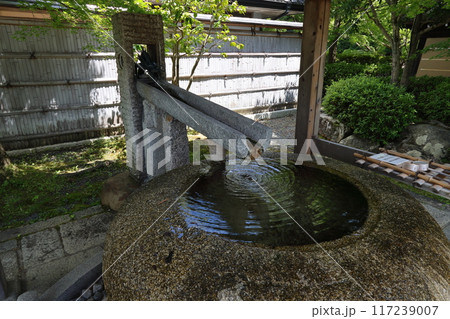顕本法花華宗 総本山 妙満寺 / 京都市左京区岩倉幡枝町 顕本法花華宗 総本山 妙満寺 / 京都市左京区岩倉幡枝町 117239007