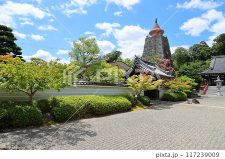 顕本法花華宗 総本山 妙満寺 / 京都市左京区岩倉幡枝町 顕本法花華宗 総本山 妙満寺 / 京都市左京区岩倉幡枝町 117239009