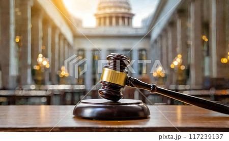 裁判 裁判所 イメージ素材 裁判 裁判所 イメージ素材 117239137
