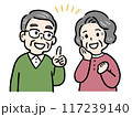 ひらめきに笑顔で喜ぶシニア夫婦 117239140