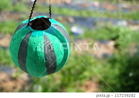 スイカのピニャータ スイカのピニャータ 117239282