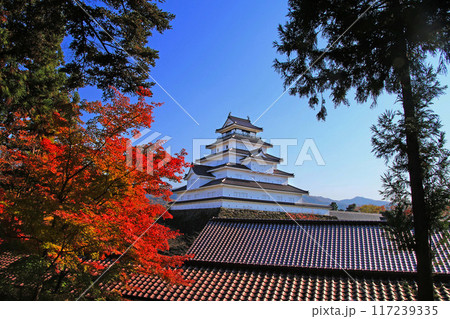 秋の鶴ヶ城（福島県・会津若松市） 117239335