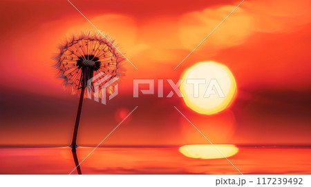 夕焼けのタンポポのシルエット 夕焼けのタンポポのシルエット 117239492