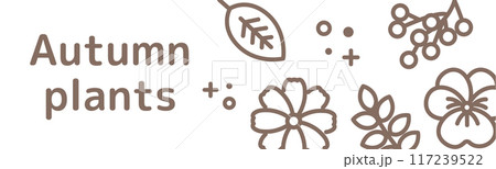 シンプルな秋の植物の背景_1 シンプルな秋の植物の背景_1 117239522