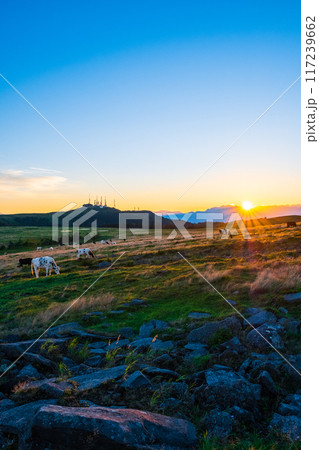 美ヶ原・夕景 117239662