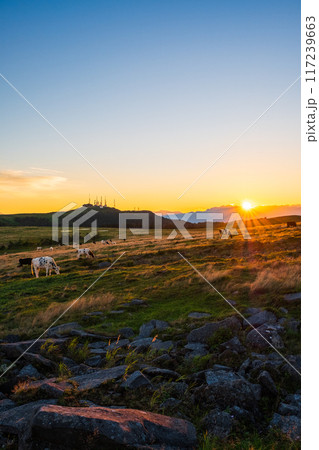 美ヶ原・夕景 美ヶ原・夕景 117239663