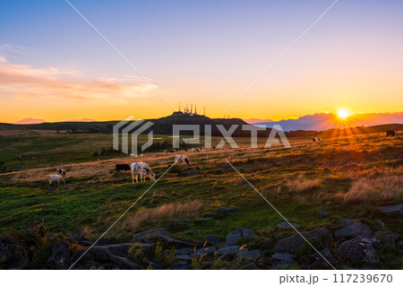 美ヶ原・夕景 美ヶ原・夕景 117239670