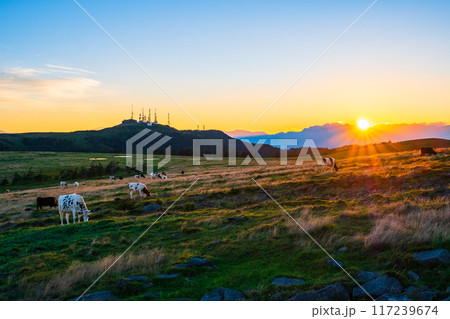 美ヶ原・夕景 美ヶ原・夕景 117239674