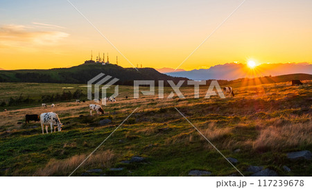 美ヶ原・夕景 117239678