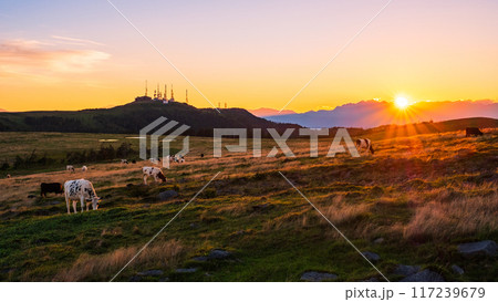 美ヶ原・夕景 117239679