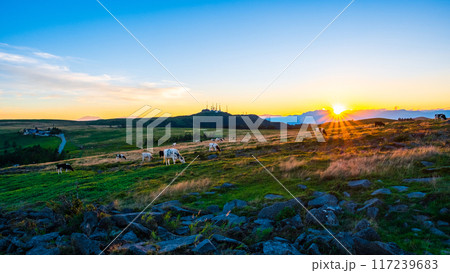 美ヶ原・夕景 117239683