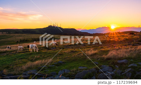 美ヶ原・夕景 117239694
