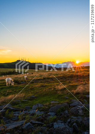 美ヶ原・夕景 美ヶ原・夕景 117239699