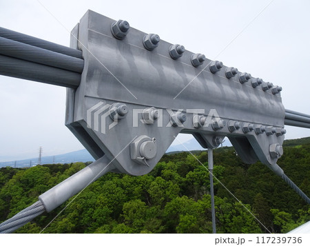 三島スカイウォークの吊橋のワイヤー(静岡県三島市笹原新田) 三島スカイウォークの吊橋のワイヤー(静岡県三島市笹原新田) 117239736