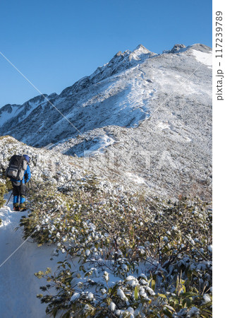 日本アルプスの稜線から見る初冬の北アルプス　山の頂上に雪が降り積もる　雪化粧する北アルプスの山々 117239789