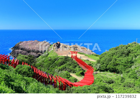 【山口県】快晴の元乃隅神社の百本鳥居 117239832