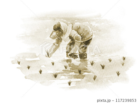 田植えをする女性　セピア色 117239853