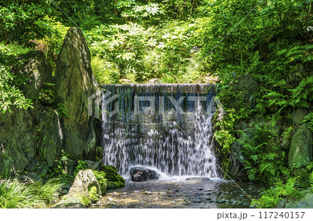 東京都　小石川後楽園　白糸の滝　初夏の新緑 117240157
