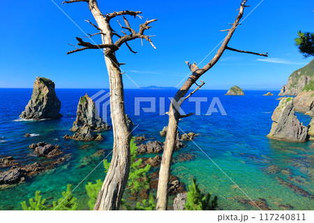 【山口県】快晴の青海島の海上アルプス 117240811