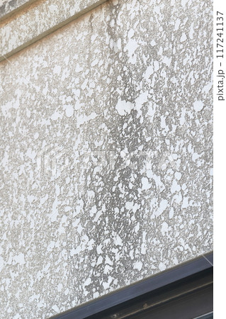 壁の劣化　汚れ 117241137